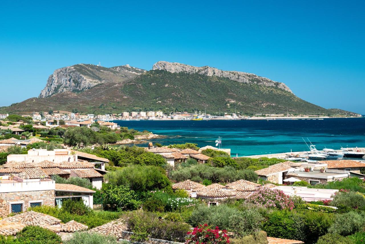 Le Case Del Golfo - Your House In Sardinia Golfo Aranci Luaran gambar